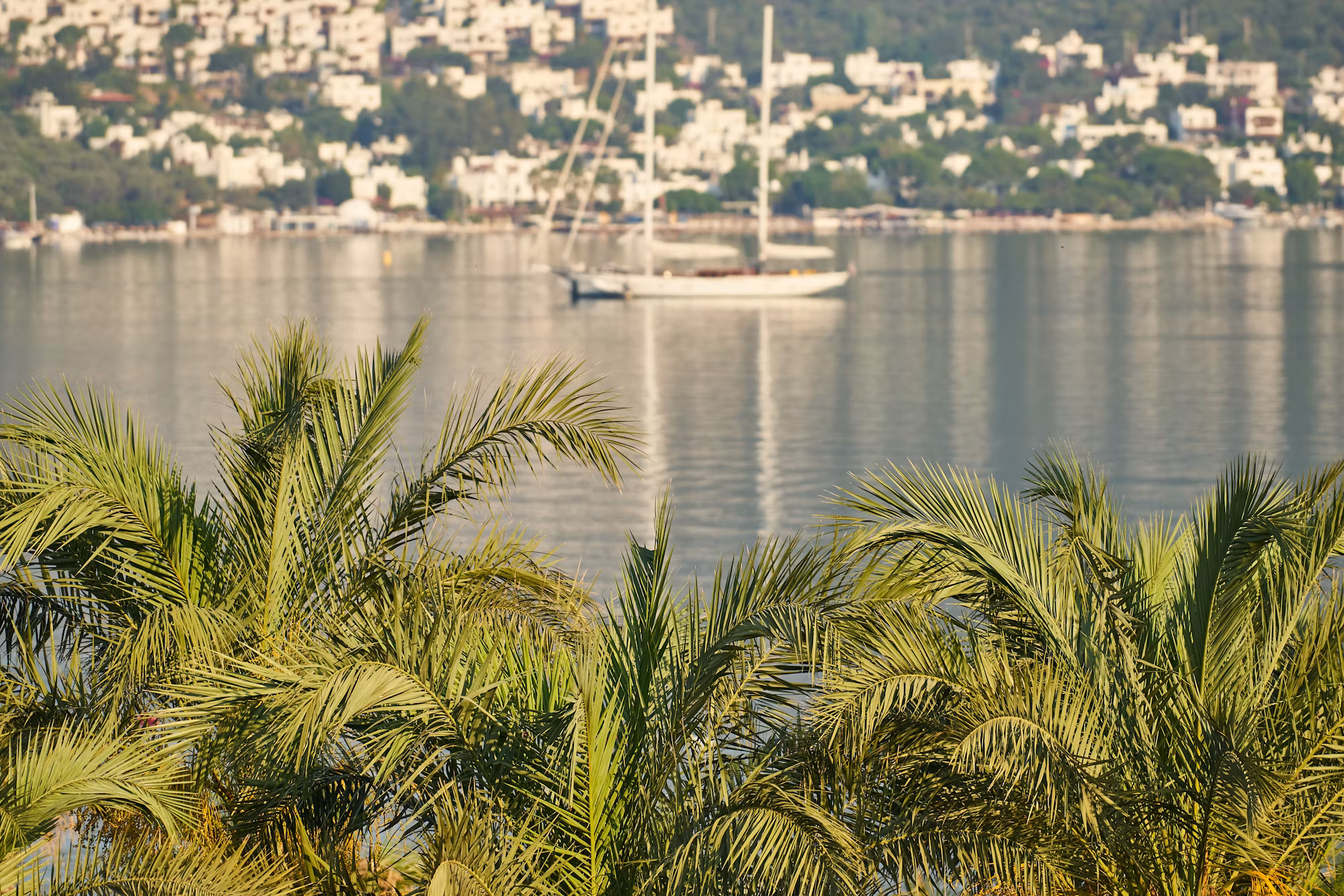 Rediscovering Romance: The Rise of Couples Retreats